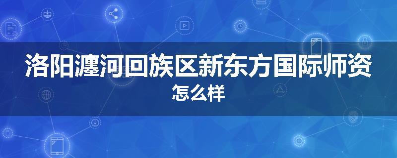 洛阳瀍河回族区新东方国际师资怎么样