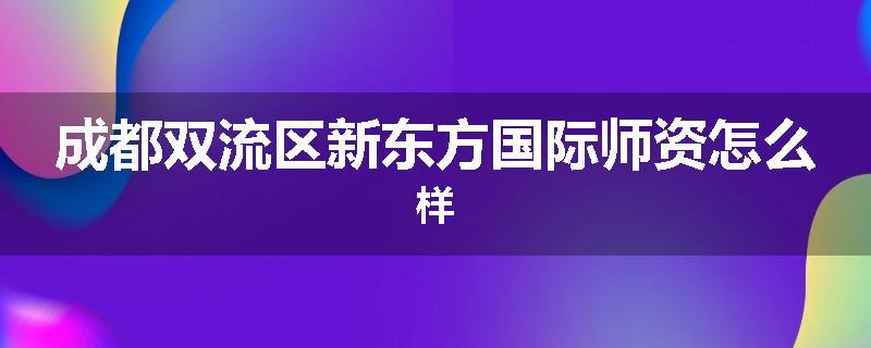 成都双流区新东方国际师资怎么样