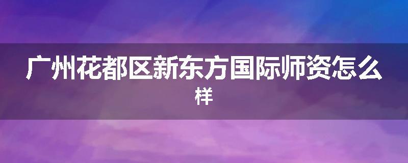 广州花都区新东方国际师资怎么样