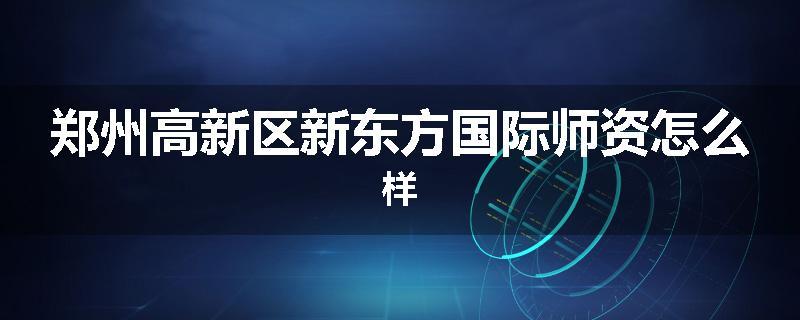 郑州高新区新东方国际师资怎么样