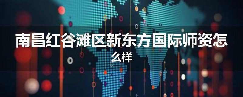 南昌红谷滩区新东方国际师资怎么样