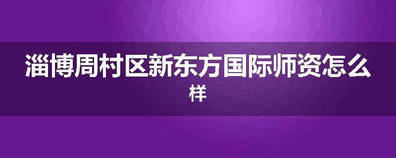 淄博周村区新东方国际师资怎么样
