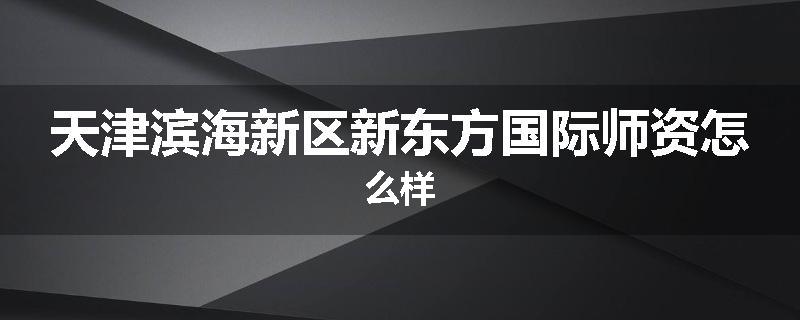 天津滨海新区新东方国际师资怎么样