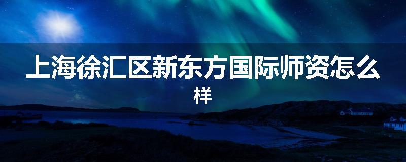 上海徐汇区新东方国际师资怎么样