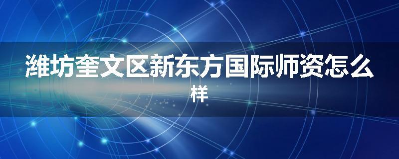 潍坊奎文区新东方国际师资怎么样