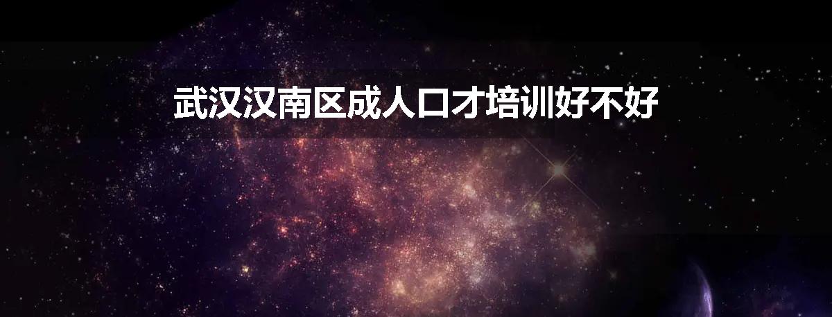 武汉汉南区成人口才培训好不好