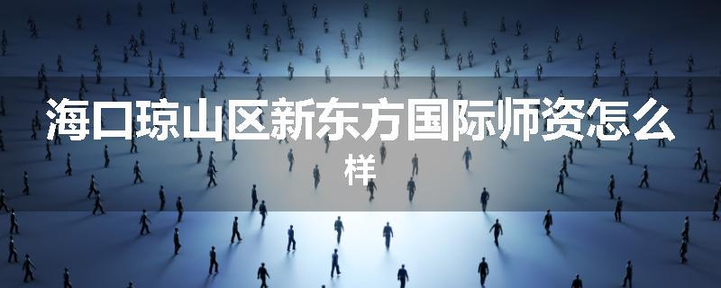 海口琼山区新东方国际师资怎么样