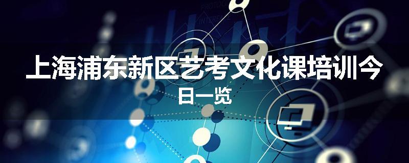 上海浦东新区艺考文化课培训今日一览