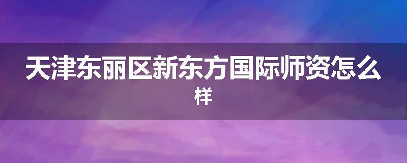 天津东丽区新东方国际师资怎么样