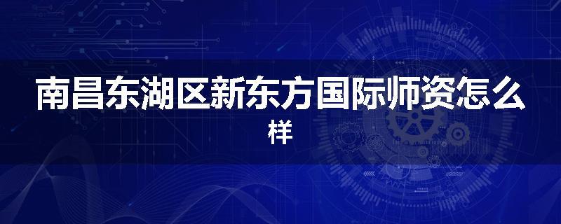南昌东湖区新东方国际师资怎么样