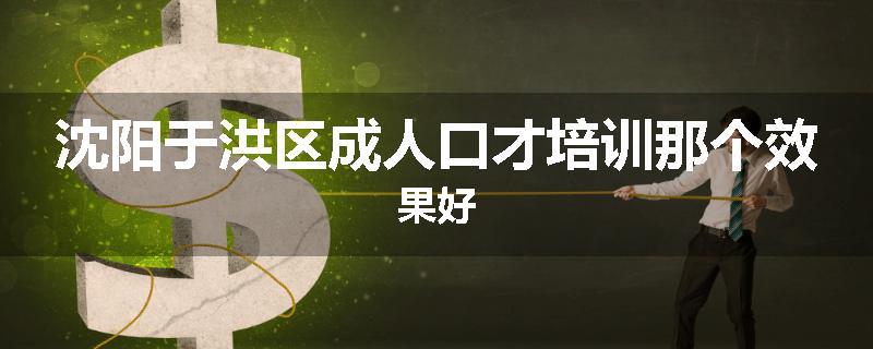 沈阳于洪区成人口才培训那个效果好