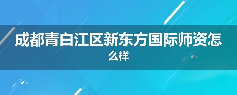 成都青白江区新东方国际师资怎么样