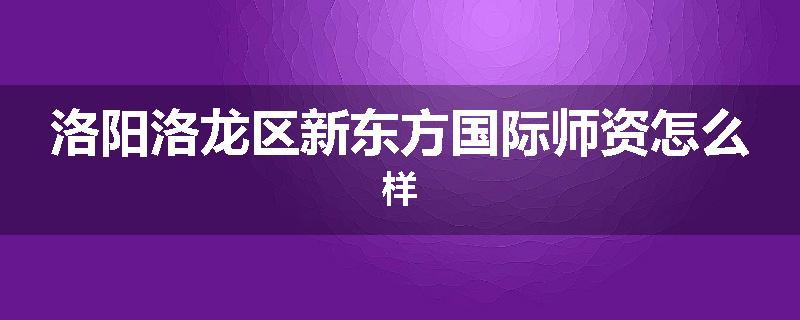 洛阳洛龙区新东方国际师资怎么样