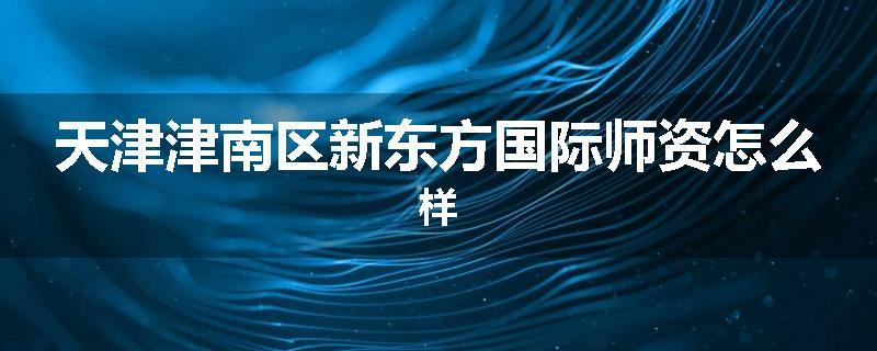 天津津南区新东方国际师资怎么样