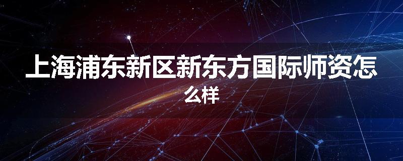 上海浦东新区新东方国际师资怎么样