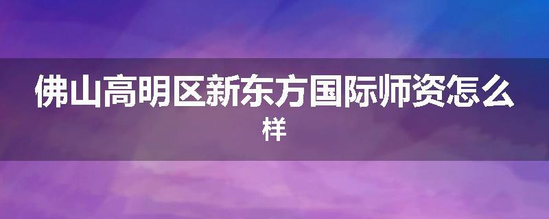 佛山高明区新东方国际师资怎么样