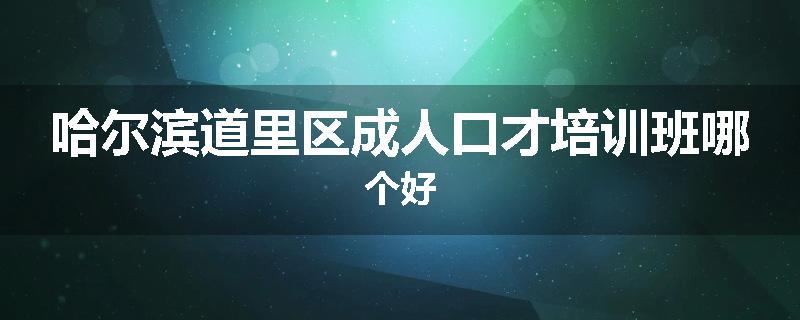 哈尔滨道里区成人口才培训班哪个好