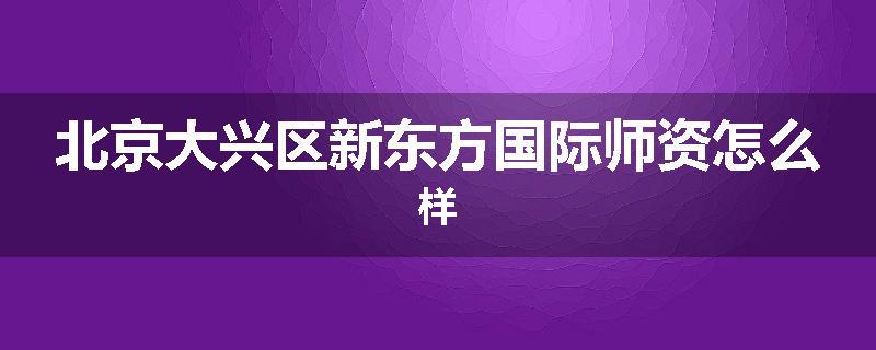 北京大兴区新东方国际师资怎么样