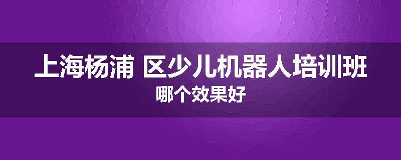 上海杨浦 区少儿机器人培训班哪个效果好