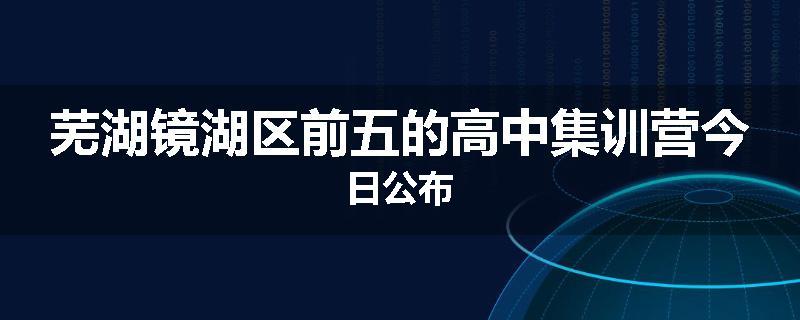 芜湖镜湖区前五的高中集训营今日公布