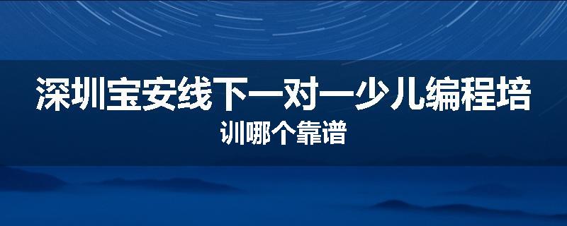 深圳宝安线下一对一少儿编程培训哪个靠谱