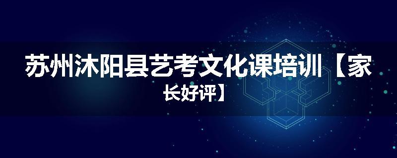 苏州沐阳县艺考文化课培训【家长好评】