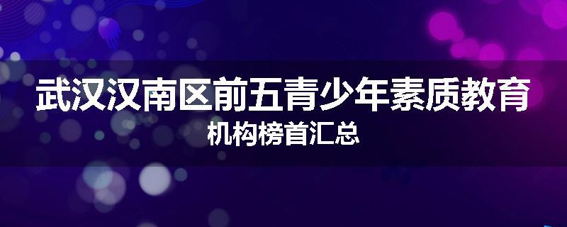 武汉汉南区前五青少年素质教育机构榜首汇总