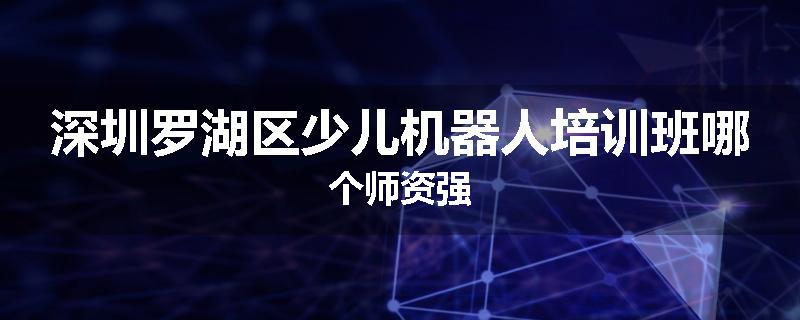 深圳罗湖区少儿机器人培训班哪个师资强
