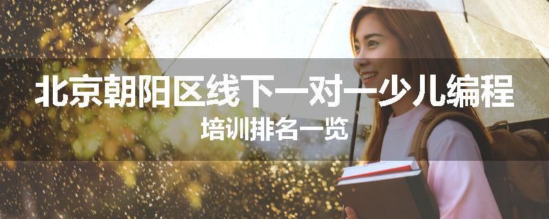 北京朝阳区线下一对一少儿编程培训排名一览
