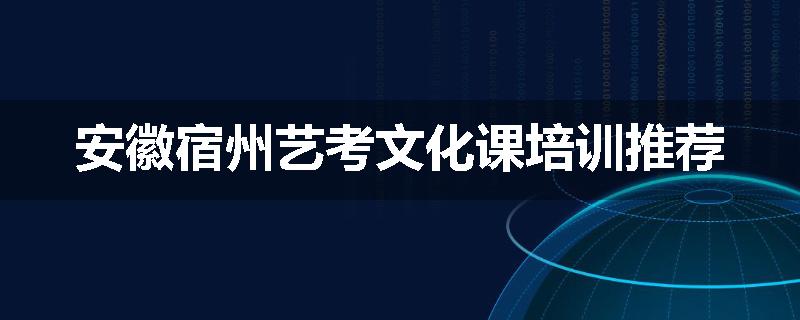 安徽宿州艺考文化课培训推荐
