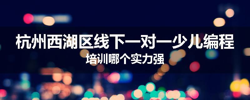 杭州西湖区线下一对一少儿编程培训哪个实力强