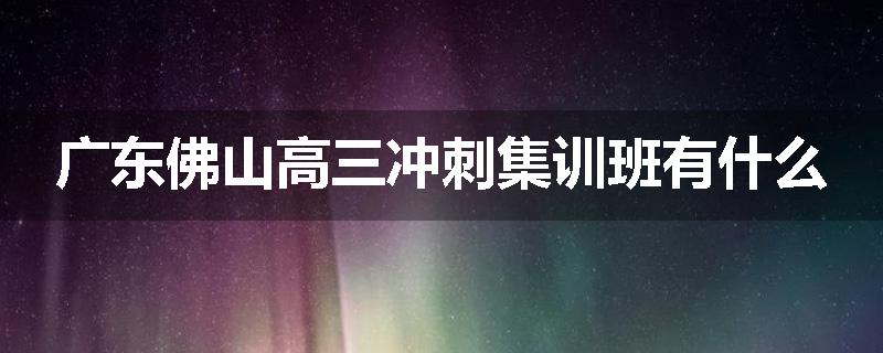 广东佛山高三冲刺集训班有什么