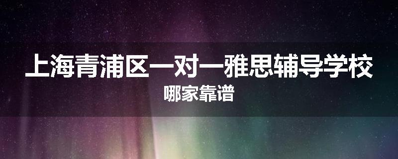 上海青浦区一对一雅思辅导学校哪家靠谱