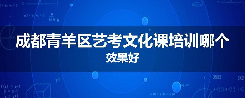 成都青羊区艺考文化课培训哪个效果好