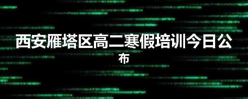 西安雁塔区高二寒假培训今日公布