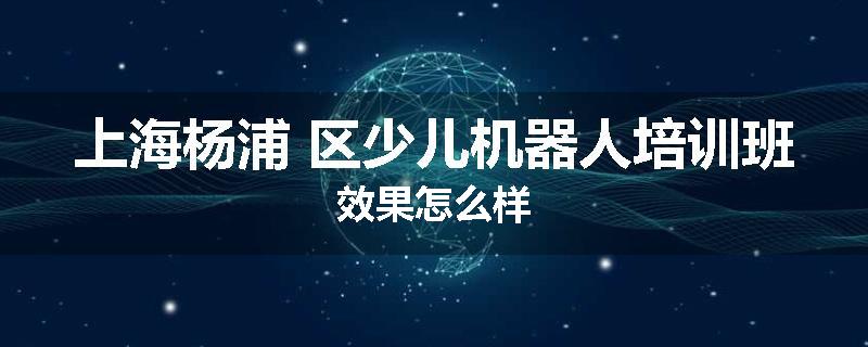 上海杨浦 区少儿机器人培训班效果怎么样
