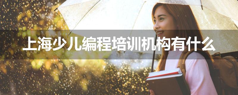 上海少儿编程培训机构有什么