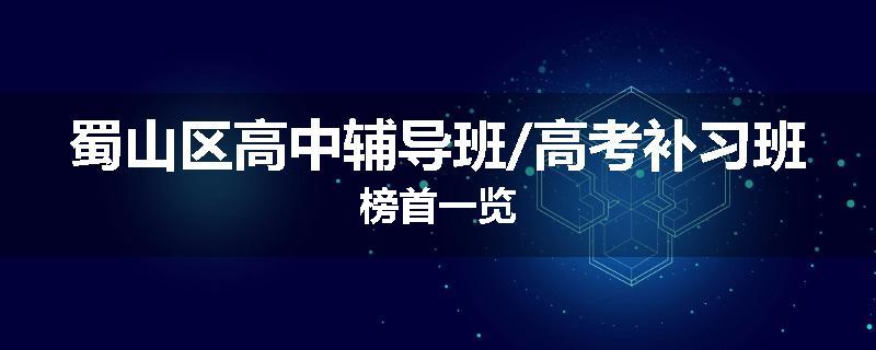 蜀山区高中辅导班/高考补习班榜首一览