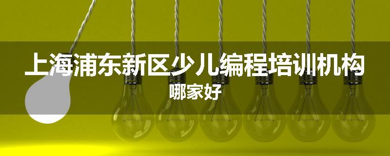 上海浦东新区少儿编程培训机构哪家好
