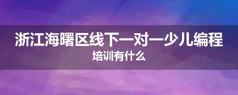 浙江海曙区线下一对一少儿编程培训有什么