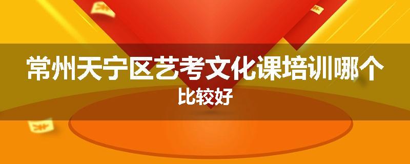 常州天宁区艺考文化课培训哪个比较好