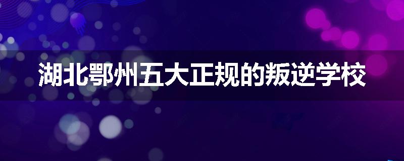 湖北鄂州五大正规的叛逆学校