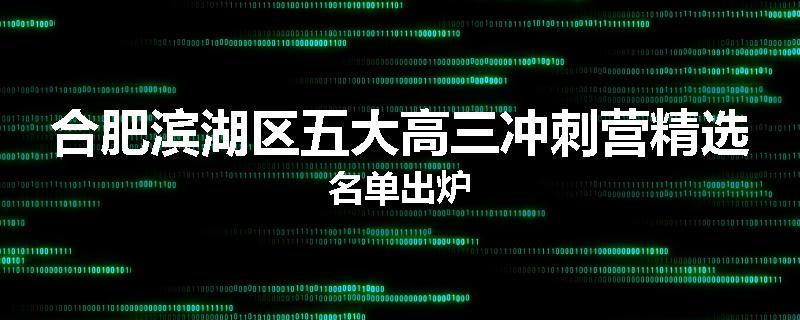 合肥滨湖区五大高三冲刺营精选名单出炉