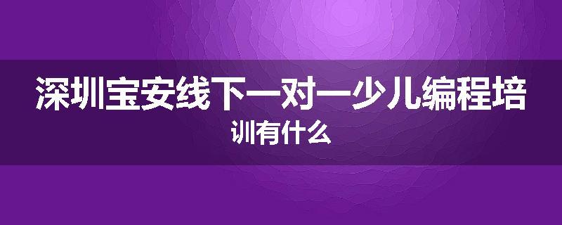 深圳宝安线下一对一少儿编程培训有什么