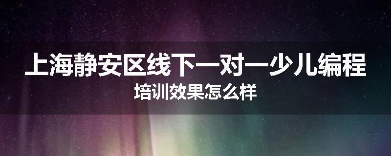 上海静安区线下一对一少儿编程培训效果怎么样