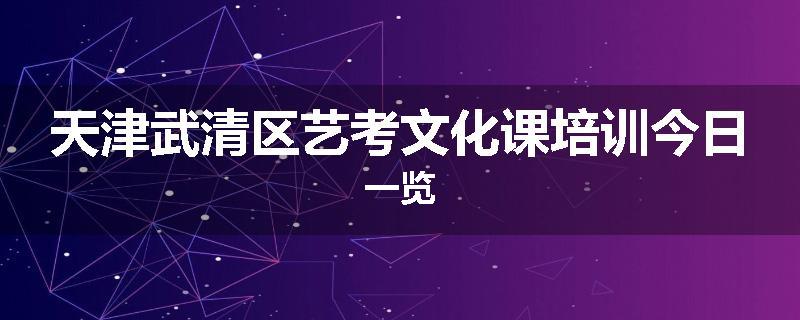 天津武清区艺考文化课培训今日一览