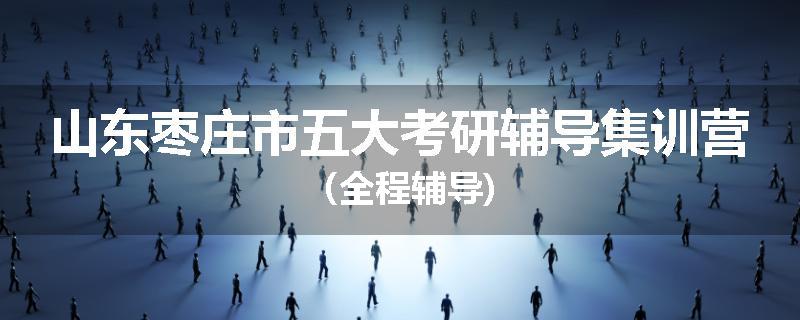山东枣庄市五大考研辅导集训营（全程辅导)