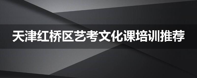 天津红桥区艺考文化课培训推荐