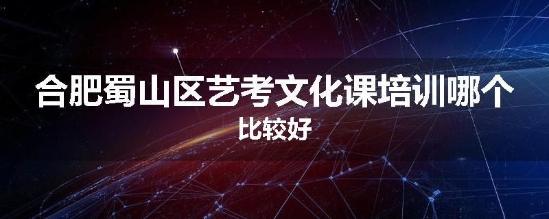 合肥蜀山区艺考文化课培训哪个比较好
