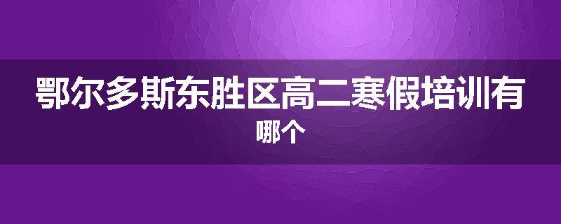 鄂尔多斯东胜区高二寒假培训有哪个
